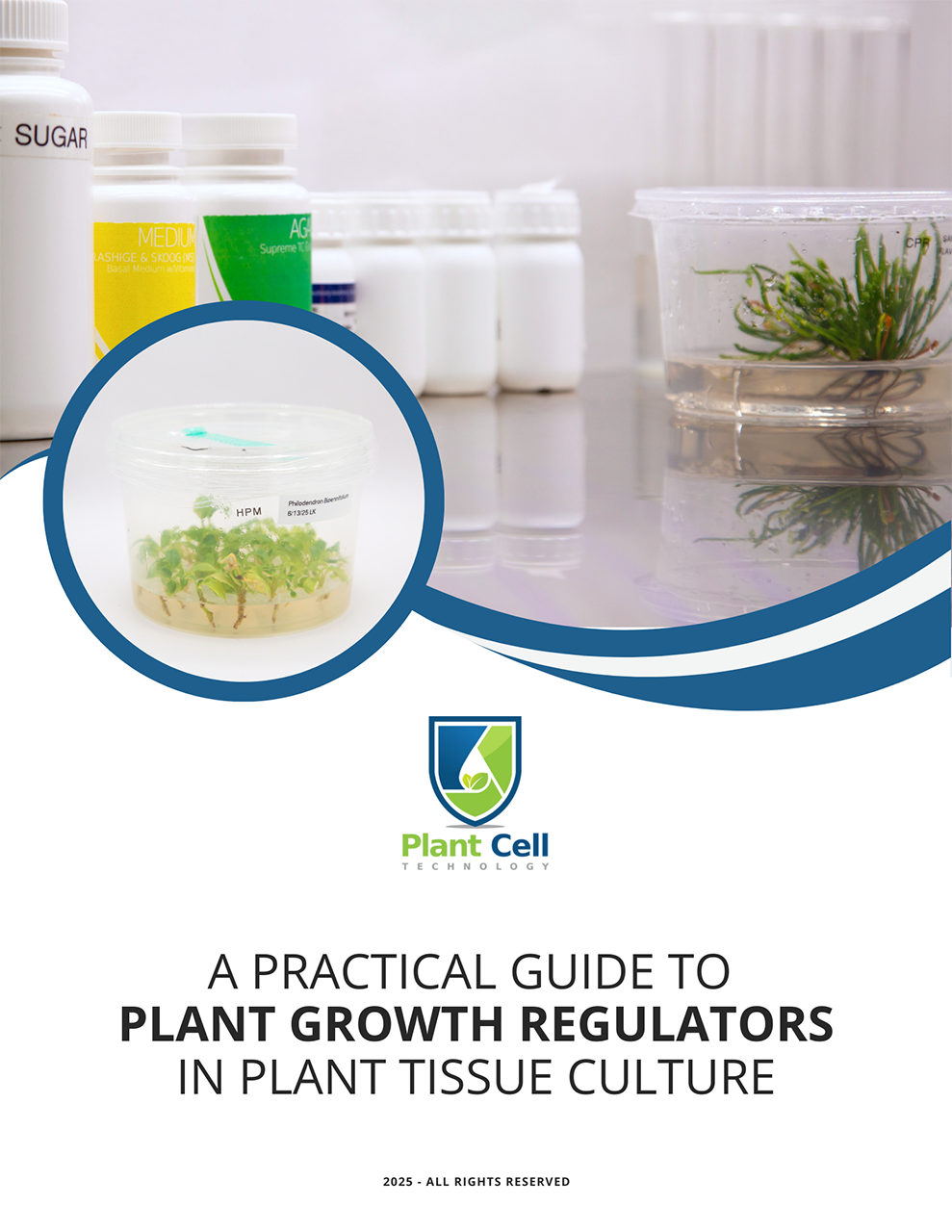 A Practical Guide to PGRs in Plant Tissue Culture