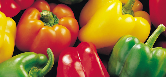 Picked bell peppers in different colors overlapped one another, showcasing the vibrant variety of colors in the Capsicum annuum genus.