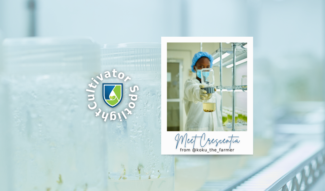 Meet Crescentia Mushobozi: A Tissue Culture Expert At World Vegetable Center