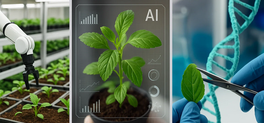 Three-panel image showing plant science innovation: left, a greenhouse robot tending to rows of crops; center, a plant overlaid with dynamic AI-generated data; right, a gloved scientist cutting a leaf in a lab with a DNA strand in the background.