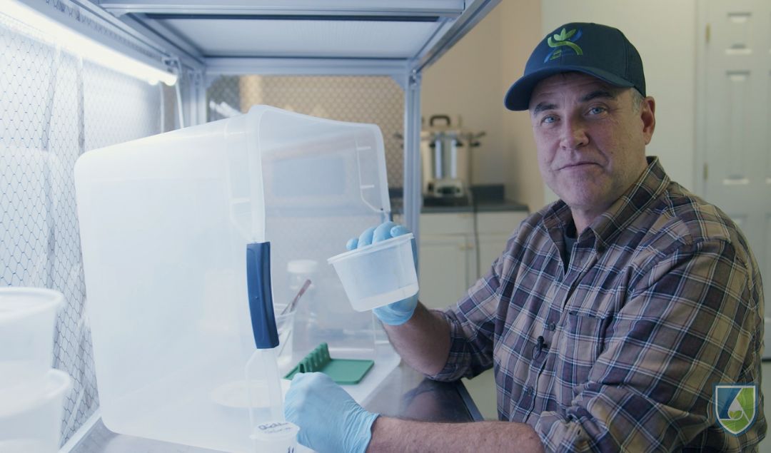 How to Start Tissue Culturing at Home for Under $300: A Budget-Friendly Guide