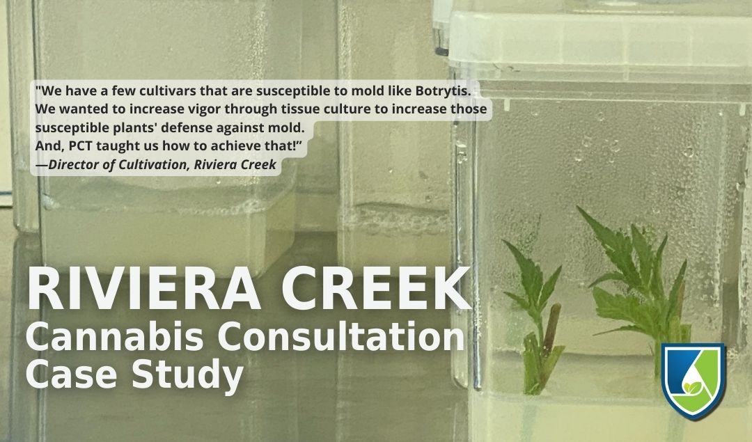 PCT Experts Offer Consulting Service to Cannabis Lab!