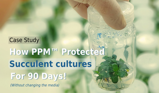 PPM™ Case Study—Succulent Business