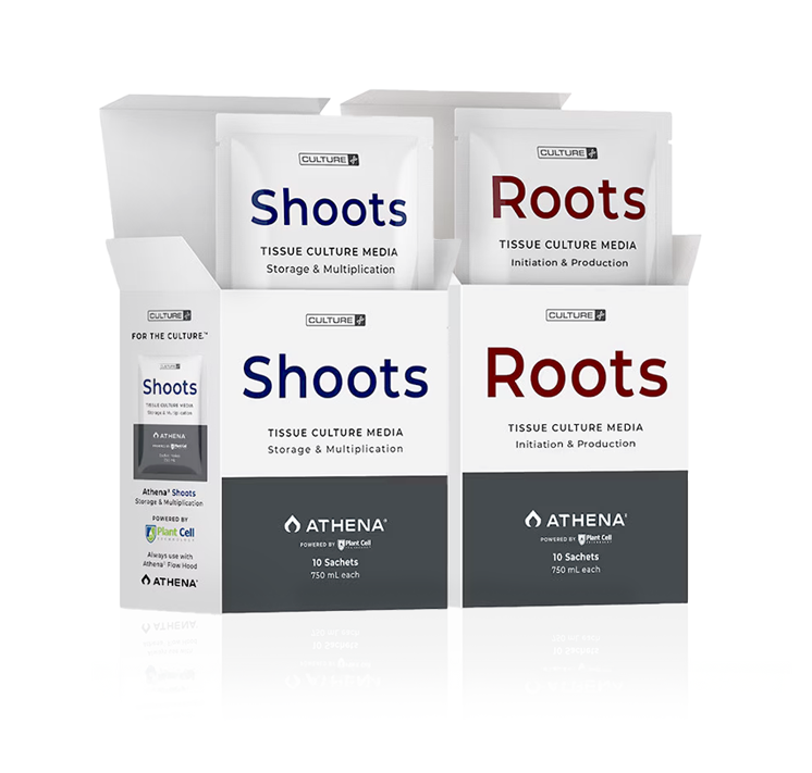 Shoots & Roots