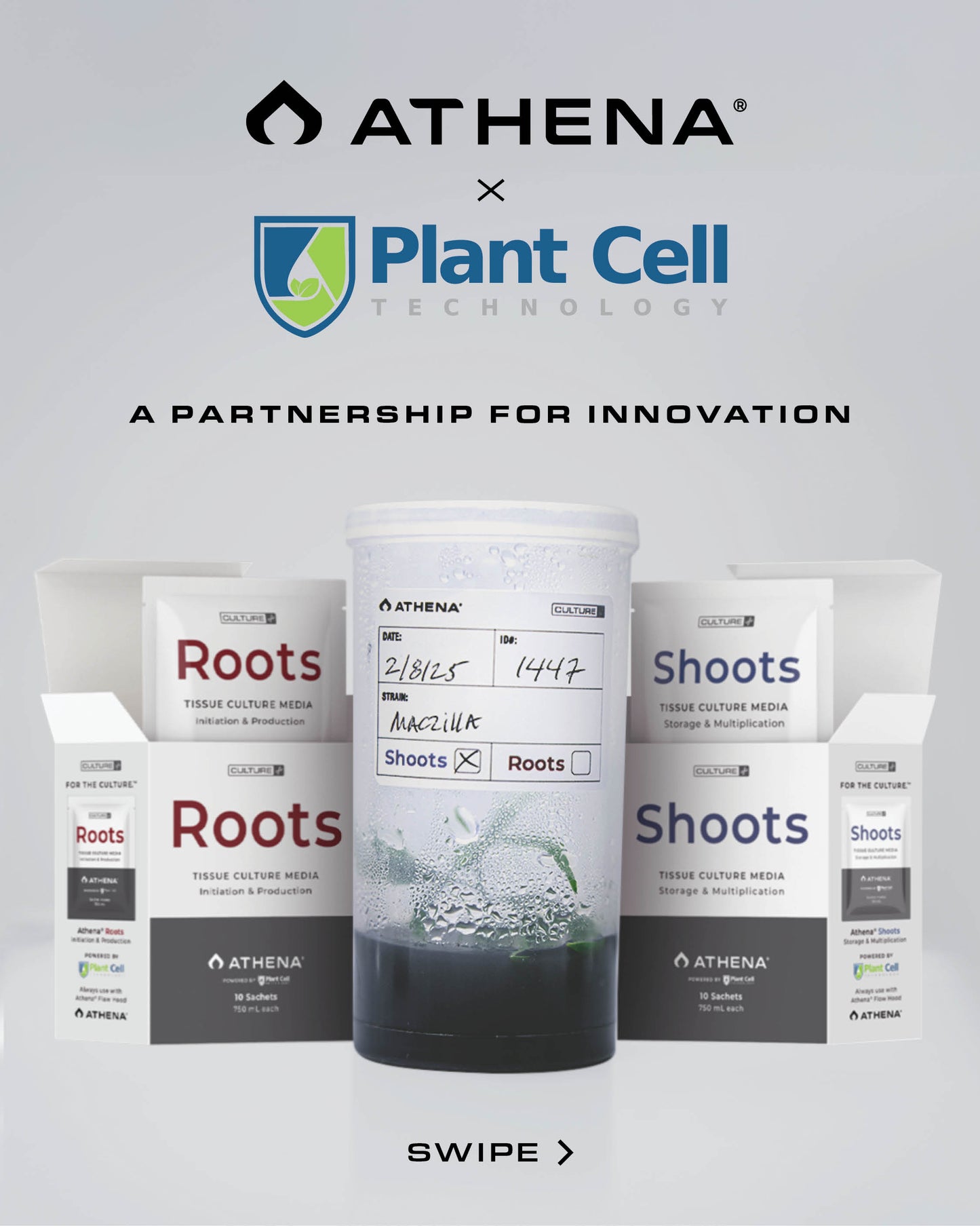 Plant Cell Technology x Athena Consultation