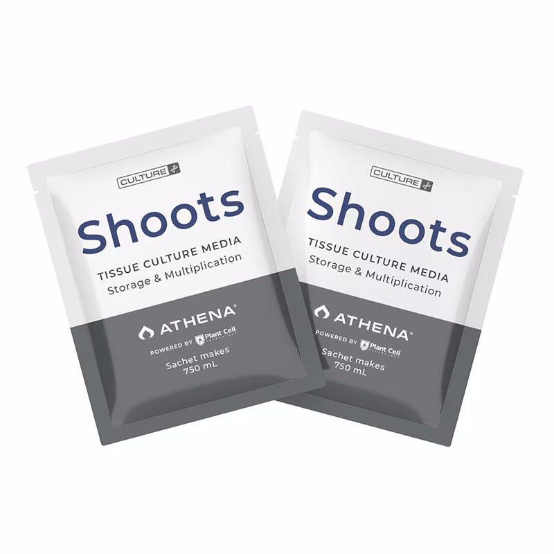 Shoots™ Tissue Culture Media