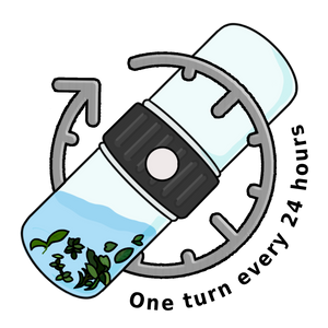 Icon Step 4