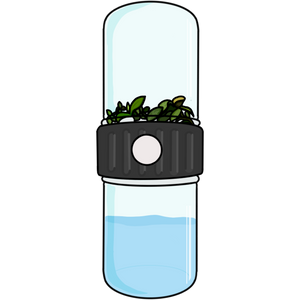 Icon Step 5
