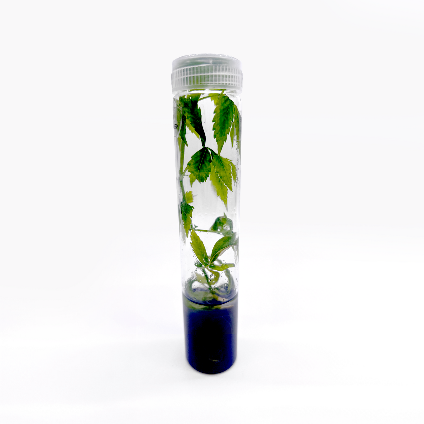 Vented Plant TC Test Tubes