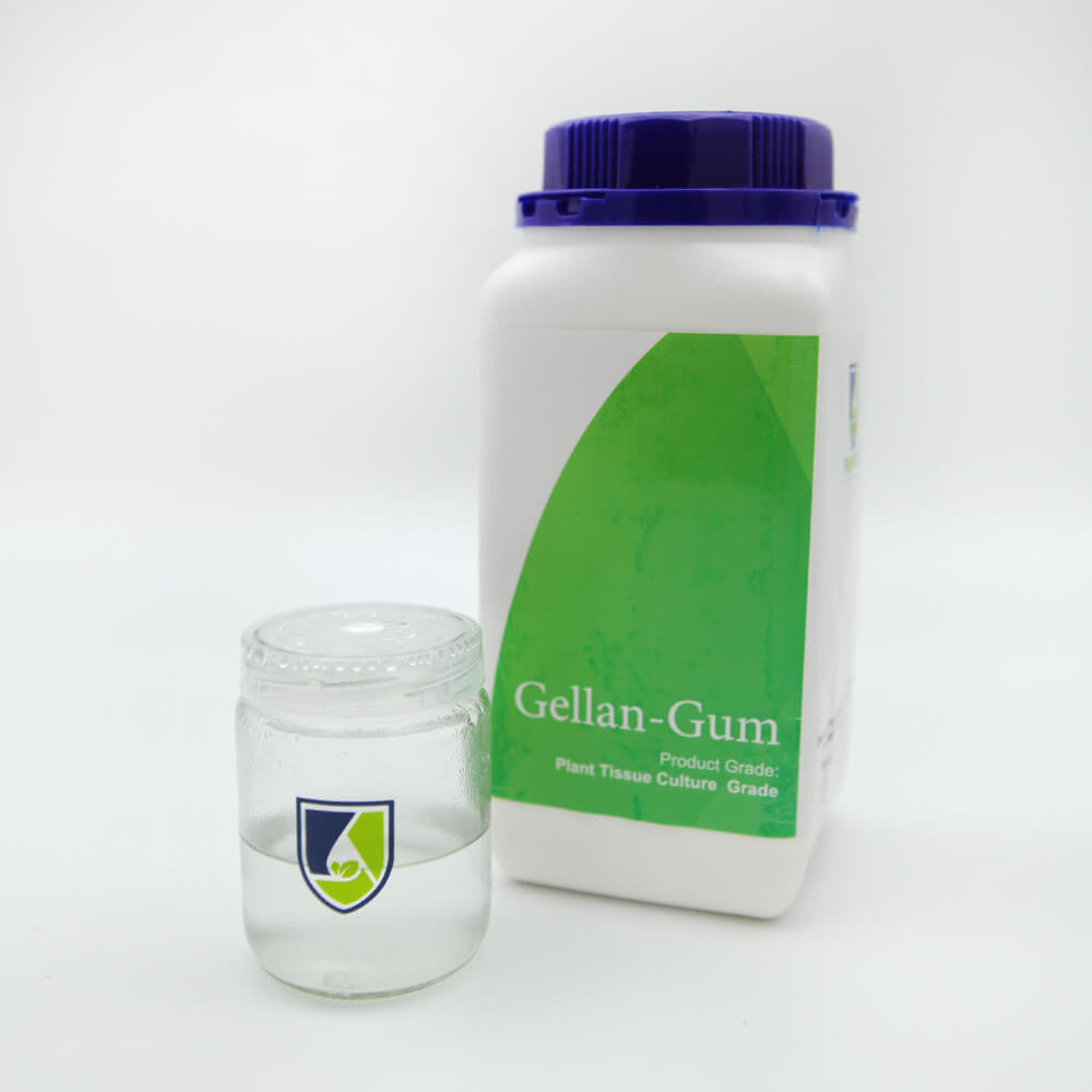 Gellan Gum Gel