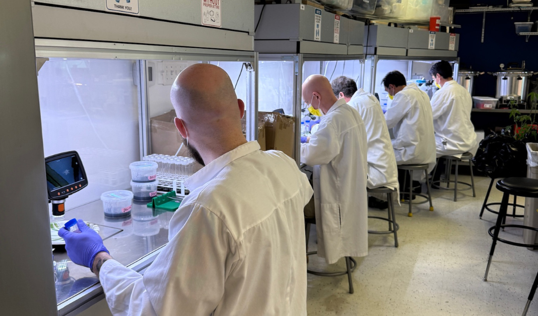7 Tips For Networking And Growing In The Tissue Culture Industry