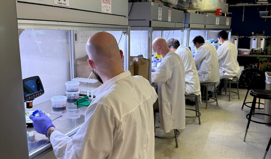 7 Tips For Networking And Growing In The Tissue Culture Industry