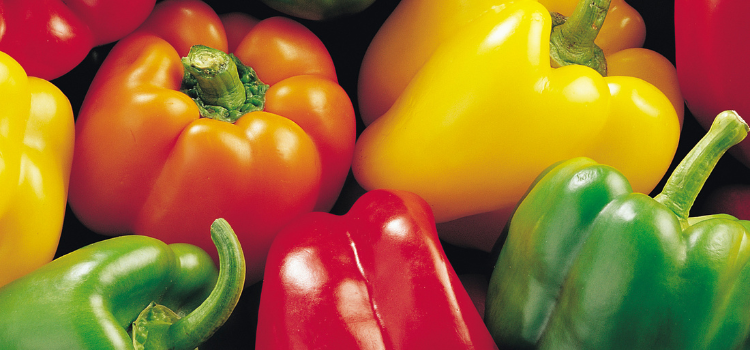 Picked bell peppers in different colors overlapped one another, showcasing the vibrant variety of colors in the Capsicum annuum genus. 