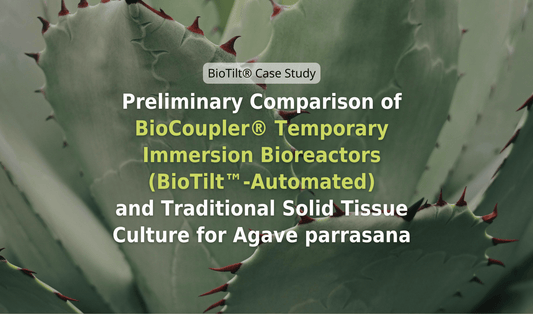 Preliminary Comparison of BioCoupler® Temporary Immersion Bioreactors (BioTilt™-Automated) and Traditional Solid Tissue Culture for Agave parrasana