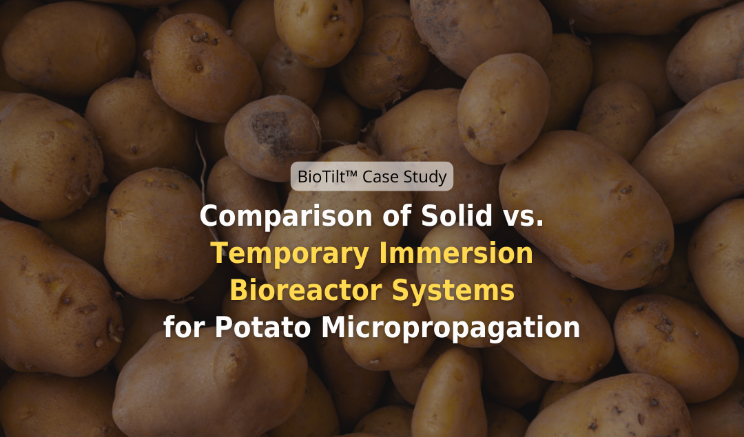 Comparison of Solid vs. Temporary Immersion Bioreactor Systems for Potato Micropropagation