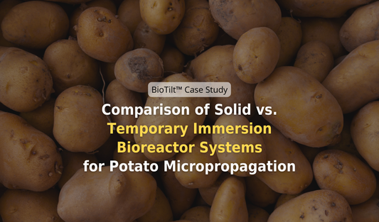 Comparison of Solid vs. Temporary Immersion Bioreactor Systems for Potato Micropropagation