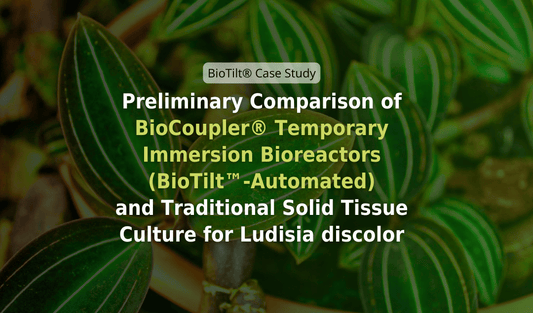 Preliminary Comparison of BioCoupler® Temporary Immersion Bioreactors (BioTilt™-Automated) and Traditional Solid Tissue Culture for Ludisia discolor