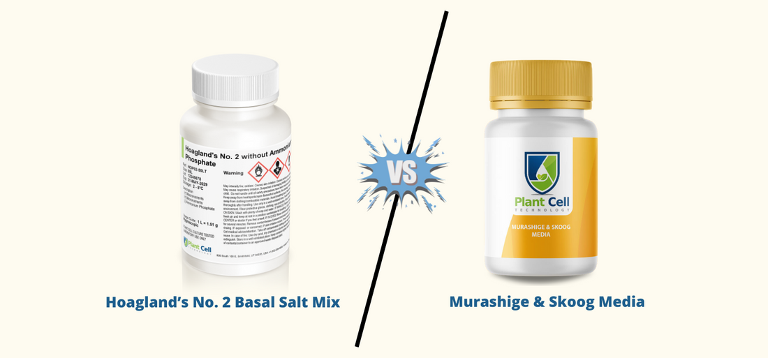Plant tissue culture media comparison: Bottle of Hoagland’s solution versus Murashige & Skoog (MS) medium with 'VERSUS' text between them.