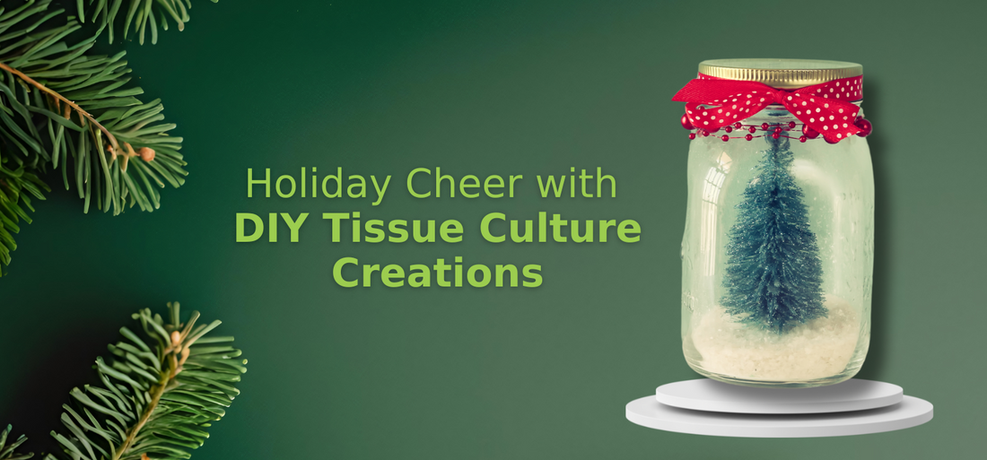 Holiday Cheer with DIY Culture Creation