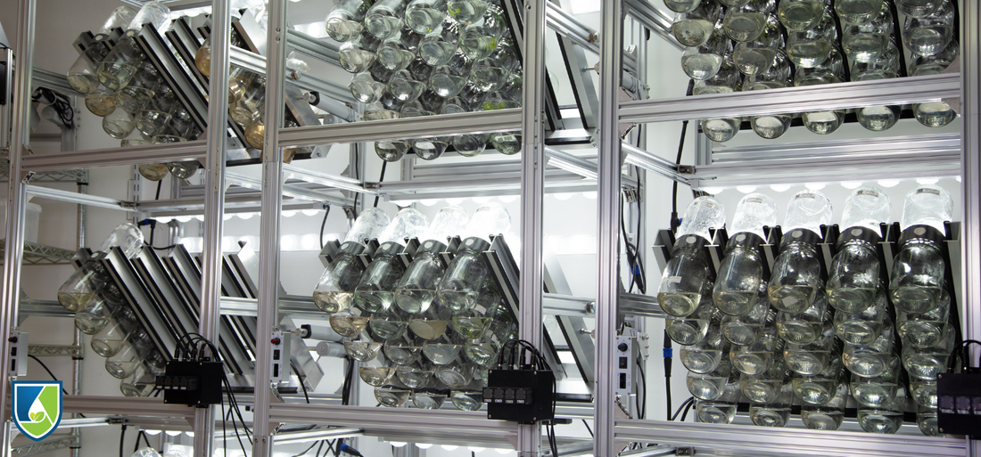 A row of Plant Cell Technology BioTilts temporary immersion bioreactor units designed for scalable plant micropropagation and tissue culture production.