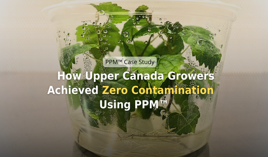 5% Contamination Rate Reduced to Zero Percent: How Upper Canada Growers Did It Using PPM™