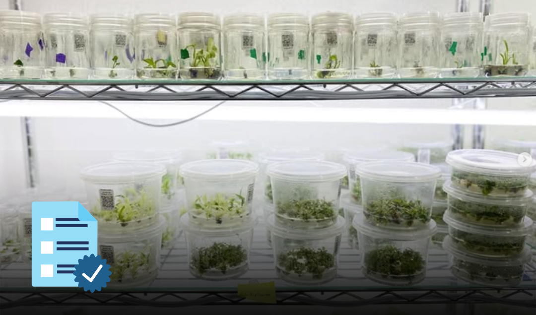 How to Document Plant Tissue Culture Protocols and Results to Repeat Success