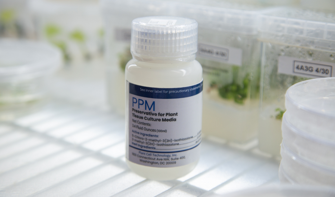 Image of the Plant Preservative Mixture Bottle