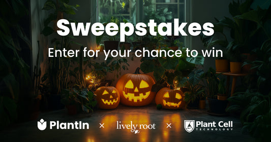 Spooky Sweepstakes: Win Big with Plant Cell Technology, PlantIn, and Lively Root This Halloween!