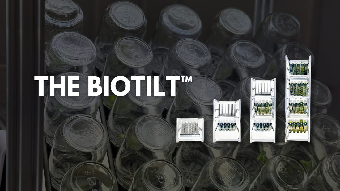 Say Goodbye to Manual Flipping: Introducing the BioTilt™ for Automated Tissue Culture!