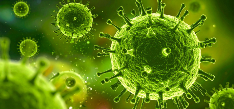 3D illustration of a green virus particle symbolizing plant infection, used in context of virus elimination using meristem culture.