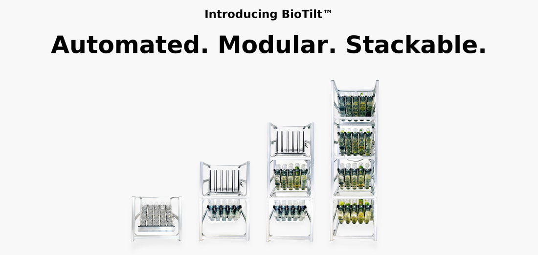 Why Do You Need BioTilt? What Does it Even Do?