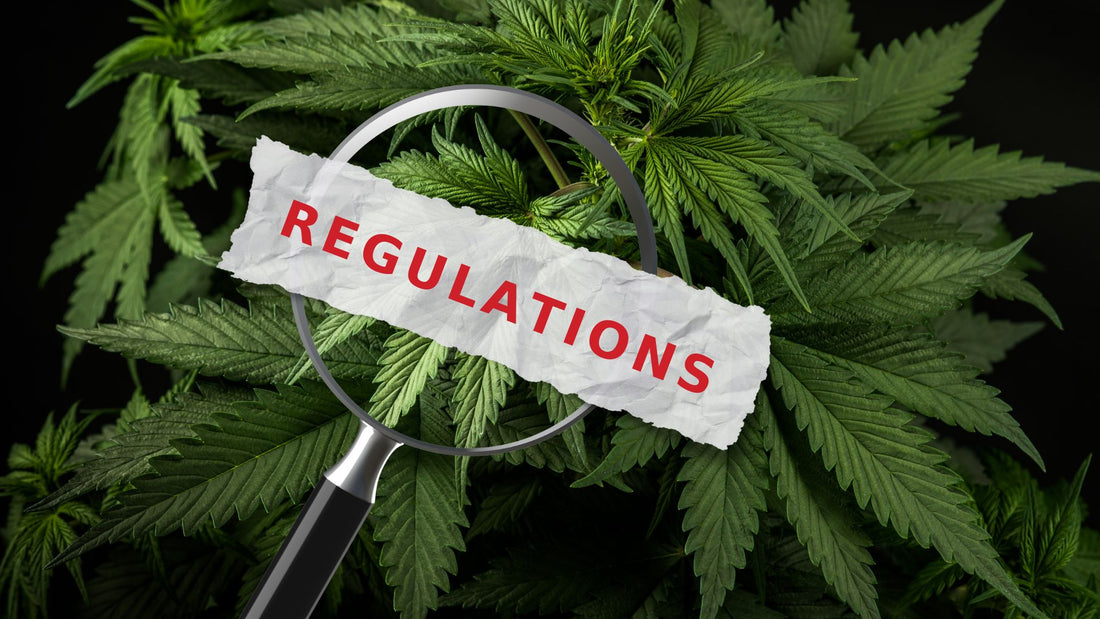 Cannabis Regulation and Quality Control—Here’s What You Should Know