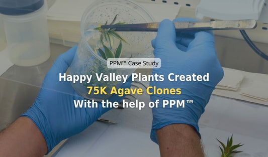 Happy Valley Plants Created 75K Agave Clones with PPM™