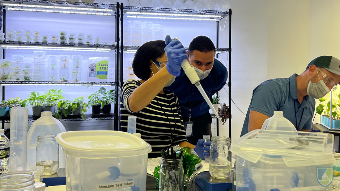 For Beginners: Why You Should Take a Tissue Culture Course?