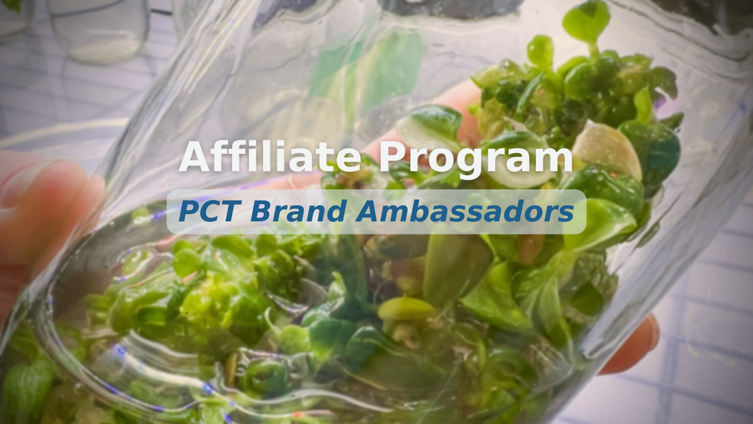 PCT Ambassadors: Introducing The Affiliate Program!