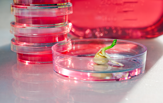 How our Agar Compares to the Competition