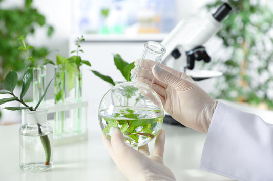 6 Most Common Problems in Tissue Culture