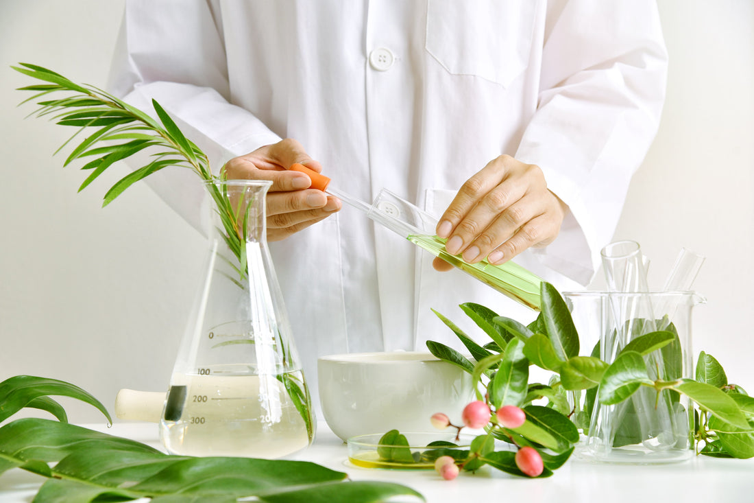 The Effect of Natural Organic Extracts on the in vitro Growth of Plants