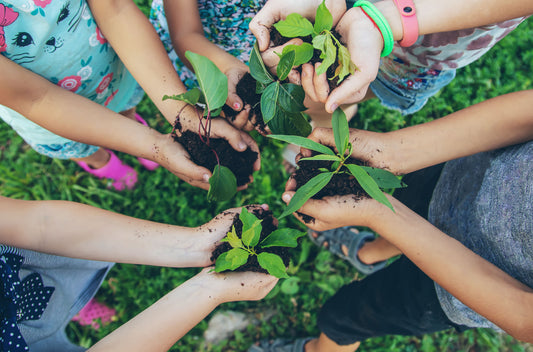 Using Tissue Culture to Cultivate Plants in Asia