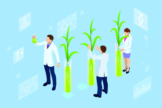 Getting Started in Tissue Culture? Here’s What You Should Know