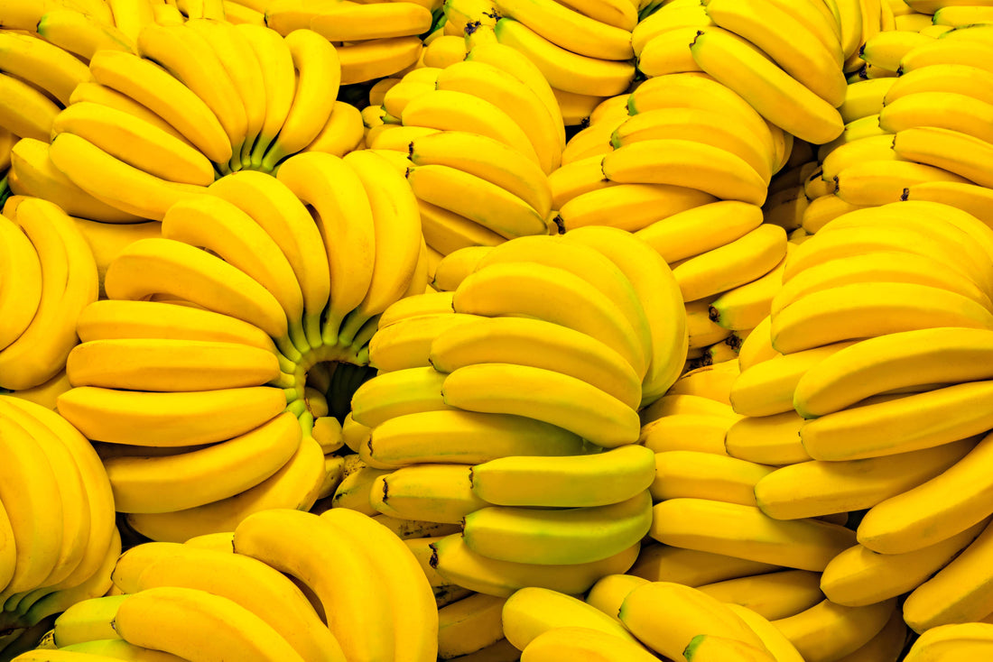 Tissue Culture Propagation of Banana