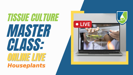 Online LIVE Tissue Culture Master Class