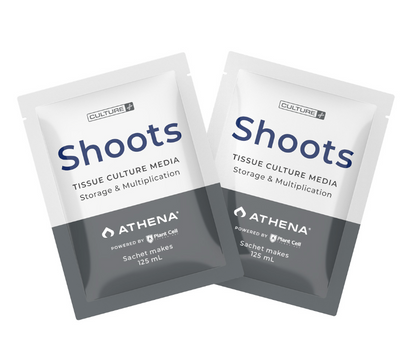 Shoots™ Tissue Culture Media