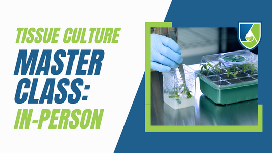 In-Person Tissue Culture Master Class